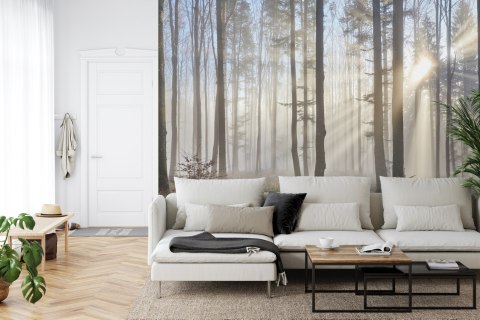 Fototapeta Las We Mgle Flizelina 208x146 FT-1-VEXL