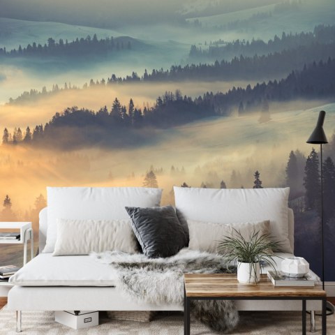 Fototapeta Las We Mgle Flizelina 208x146 FT-10-VEXL