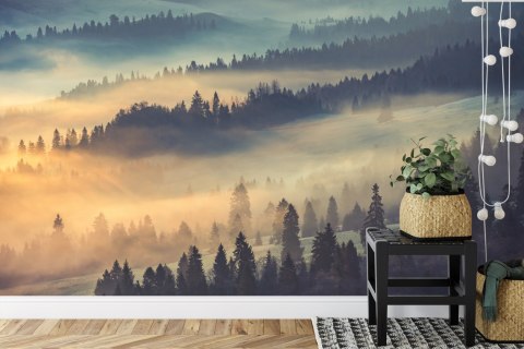 Fototapeta Las We Mgle Flizelina 208x146 FT-10-VEXL