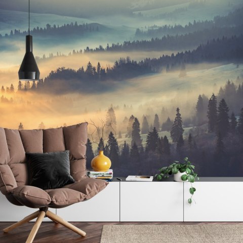 Fototapeta Las We Mgle Vinyl Gładki 152.5x104 FT-10-VGL