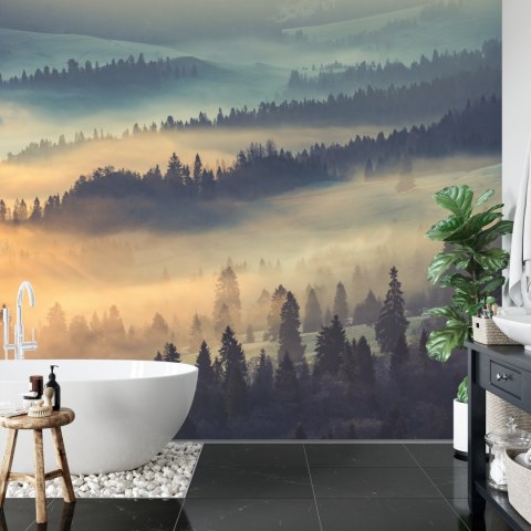 Fototapeta Las We Mgle Vinyl Gładki 152.5x104 FT-10-VGL