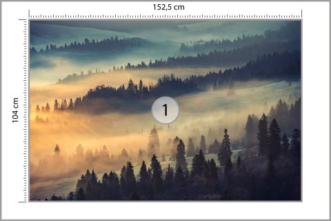 Fototapeta Las We Mgle Vinyl Gładki 152.5x104 FT-10-VGL