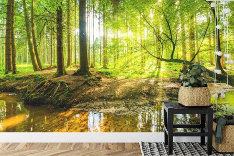 Fototapeta Wiosną W Efekcie 3D Flizelina 208x146 FT-3814-VEXL
