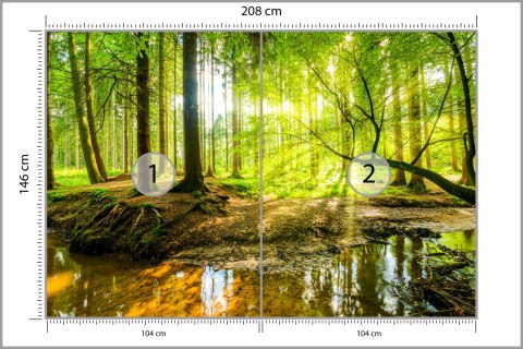 Fototapeta Wiosną W Efekcie 3D Flizelina 208x146 FT-3814-VEXL