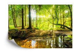 Fototapeta Wiosną W Efekcie 3D Vinyl Gładki 152.5x104 FT-3814-VGL