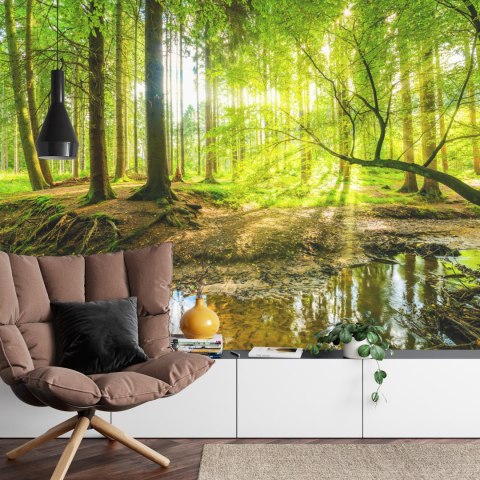 Fototapeta Wiosną W Efekcie 3D Vinyl Gładki 152.5x104 FT-3814-VGL