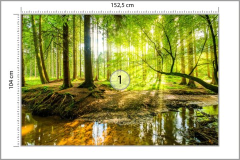 Fototapeta Wiosną W Efekcie 3D Vinyl Gładki 152.5x104 FT-3814-VGL