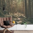 Fototapeta Las Drzewa Kamienie Vinyl Gładki 152.5x104 FT-269-VGL