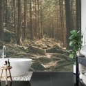 Fototapeta Las Drzewa Kamienie Vinyl Gładki 152.5x104 FT-269-VGL