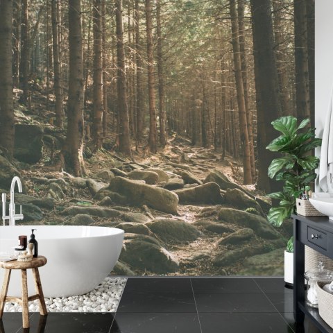 Fototapeta Las Drzewa Kamienie Vinyl Gładki 152.5x104 FT-269-VGL
