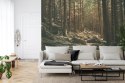 Fototapeta Las Drzewa Kamienie Vinyl Gładki 152.5x104 FT-269-VGL