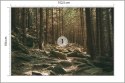 Fototapeta Las Drzewa Kamienie Vinyl Gładki 152.5x104 FT-269-VGL