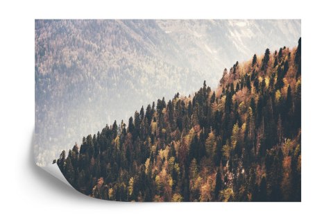 Fototapeta Las Góry Flizelina 208x146 FT-271-VEXL