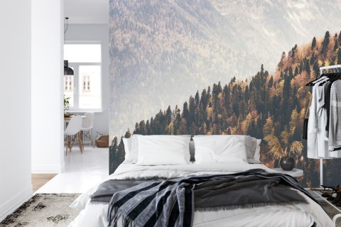 Fototapeta Las Góry Flizelina 208x146 FT-271-VEXL