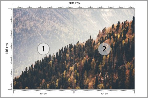 Fototapeta Las Góry Flizelina 208x146 FT-271-VEXL