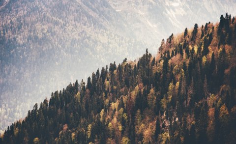 Fototapeta Las Góry Vinyl Gładki 152.5x104 FT-271-VGL