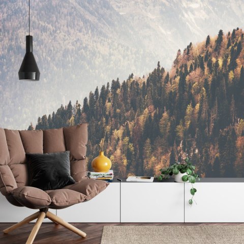 Fototapeta Las Góry Vinyl Gładki 152.5x104 FT-271-VGL