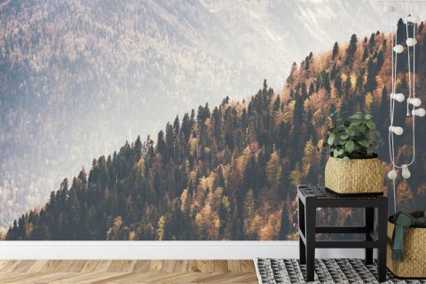 Fototapeta Las Góry Vinyl Gładki 152.5x104 FT-271-VGL