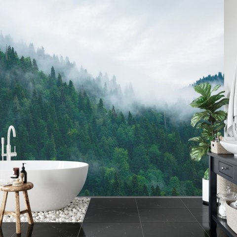 Fototapeta Las We Mgle Flizelina 208x146 FT-18-VEXL