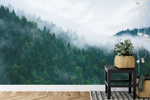 Fototapeta Las We Mgle Flizelina 208x146 FT-18-VEXL