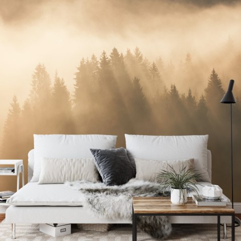 Fototapeta Las We Mgle Flizelina 208x146 FT-27-VEXL