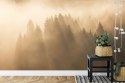 Fototapeta Las We Mgle Flizelina 208x146 FT-27-VEXL