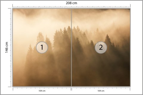 Fototapeta Las We Mgle Flizelina 208x146 FT-27-VEXL