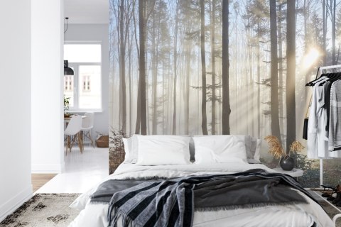 Fototapeta Las We Mgle Vinyl Gładki 152.5x104 FT-1-VGL