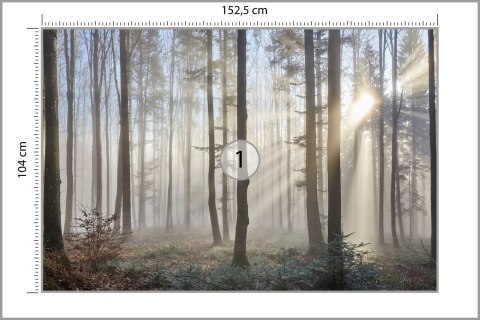 Fototapeta Las We Mgle Vinyl Gładki 152.5x104 FT-1-VGL