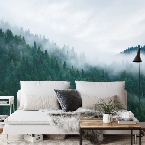 Fototapeta Las We Mgle Vinyl Gładki 152.5x104 FT-18-VGL