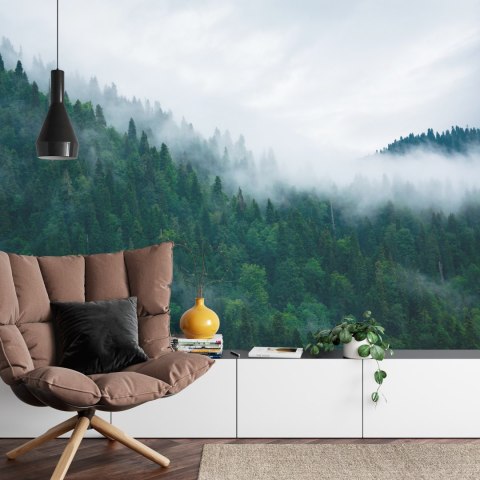 Fototapeta Las We Mgle Vinyl Gładki 152.5x104 FT-18-VGL
