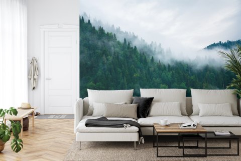 Fototapeta Las We Mgle Vinyl Gładki 152.5x104 FT-18-VGL