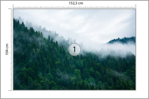 Fototapeta Las We Mgle Vinyl Gładki 152.5x104 FT-18-VGL