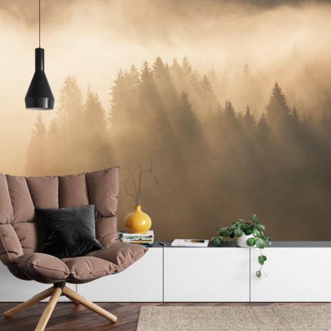 Fototapeta Las We Mgle Vinyl Gładki 152.5x104 FT-27-VGL