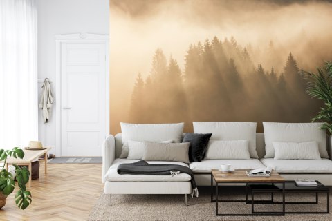 Fototapeta Las We Mgle Vinyl Gładki 152.5x104 FT-27-VGL