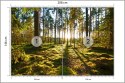 Fototapeta Las Zachód Słońca Flizelina 208x146 FT-260-VEXL