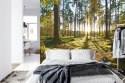Fototapeta Las Zachód Słońca Vinyl Gładki 152.5x104 FT-260-VGL