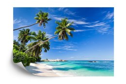 Fototapeta Plaża Ocean Palmy Flizelina 208x146 FT-398-VEXL