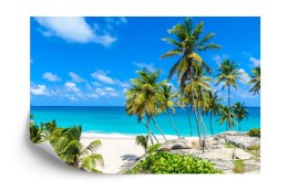 Fototapeta Plaża Ocean Palmy Vinyl Gładki 152.5x104 FT-399-VGL