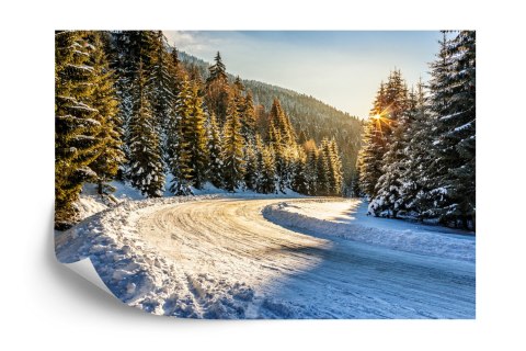 Fototapeta Zimowy Las Flizelina 208x146 FT-257-VEXL