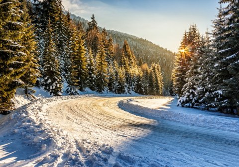 Fototapeta Zimowy Las Flizelina 208x146 FT-257-VEXL