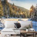 Fototapeta Zimowy Las Flizelina 208x146 FT-257-VEXL