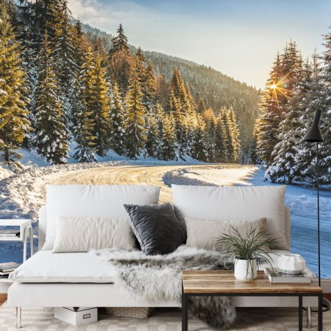 Fototapeta Zimowy Las Flizelina 208x146 FT-257-VEXL