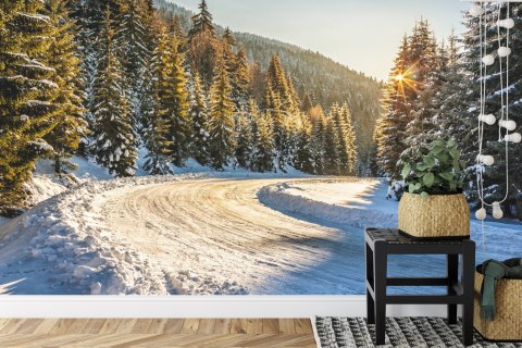 Fototapeta Zimowy Las Flizelina 208x146 FT-257-VEXL