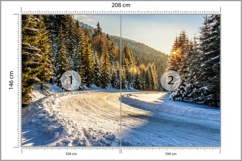 Fototapeta Zimowy Las Flizelina 208x146 FT-257-VEXL