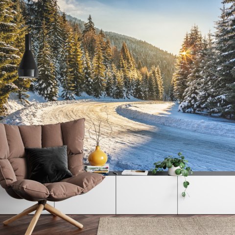 Fototapeta Zimowy Las Vinyl Gładki 152.5x104 FT-257-VGL