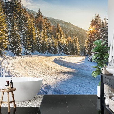 Fototapeta Zimowy Las Vinyl Gładki 152.5x104 FT-257-VGL