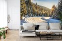Fototapeta Zimowy Las Vinyl Gładki 152.5x104 FT-257-VGL