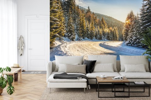 Fototapeta Zimowy Las Vinyl Gładki 152.5x104 FT-257-VGL