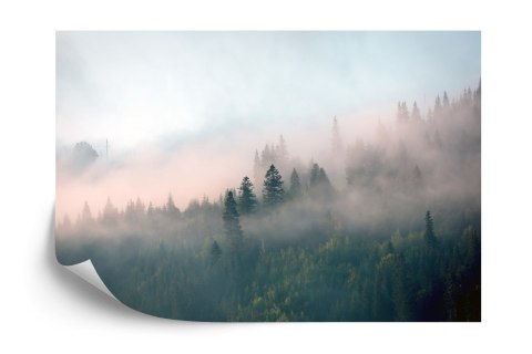 Fototapeta Las We Mgle Flizelina 208x146 FT-453-VEXL